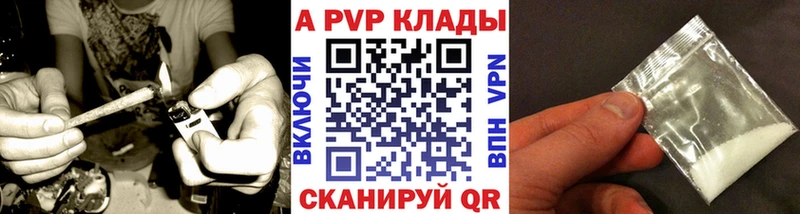 дарк нет телеграм  MEGA ССЫЛКА  Судогда  APVP Соль 