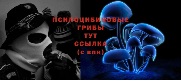 ALPHA PVP Алзамай