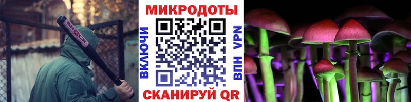 где продают Судогда Псилоцибиновые грибы Psilocybine cubensis